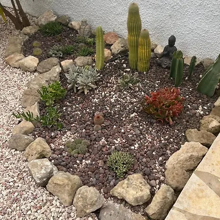 빌라 Casa Di Paddy