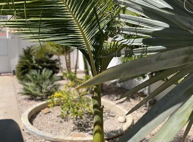 Villa Casa Di Paddy Ciudad Quesada